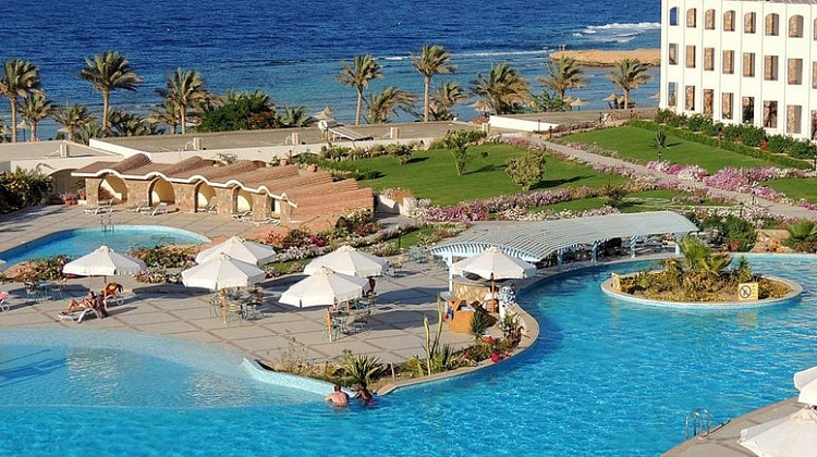 Картинка - 5