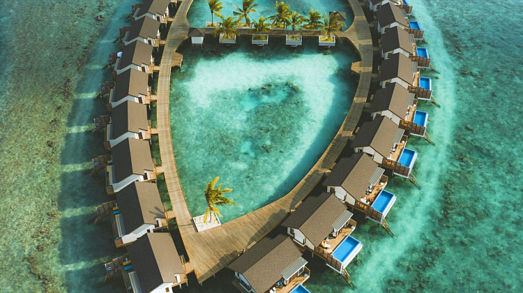 Картинка - 2