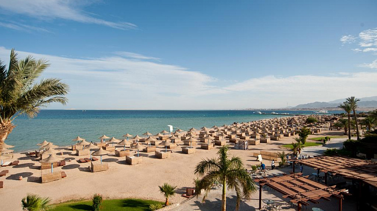 Картинка - 4