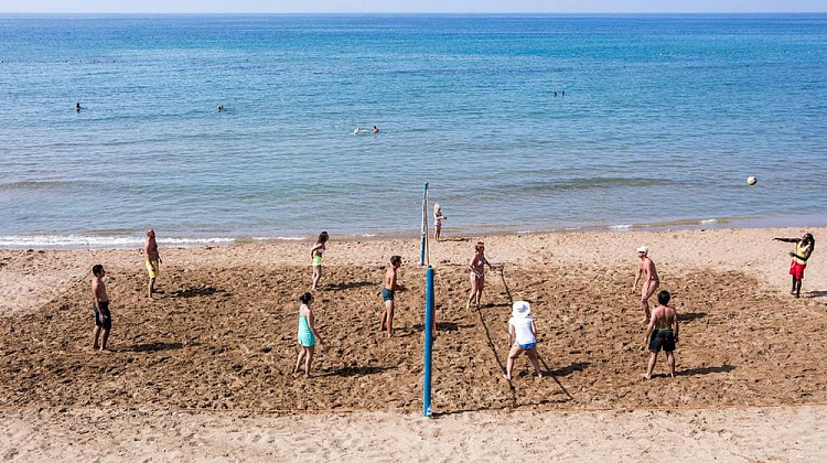 Картинка - 12