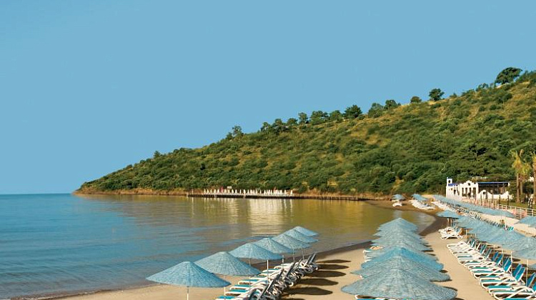 Картинка - 7