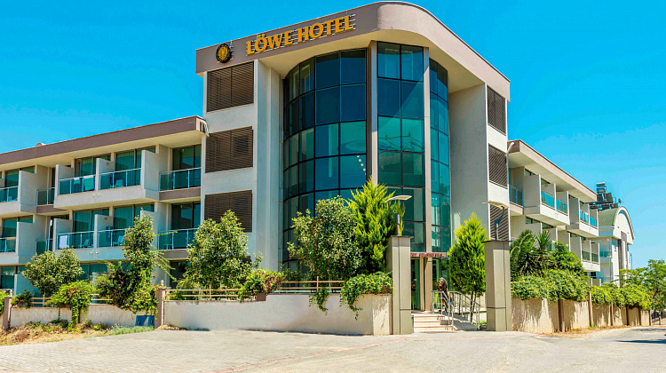 Картинка - 3