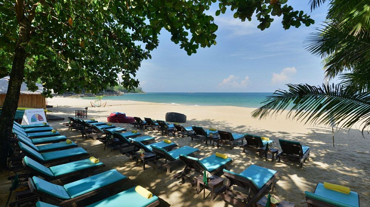 Картинка - 4