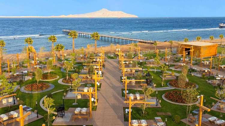 Картинка - 7