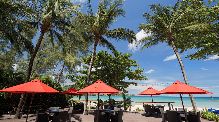 Картинка - 8