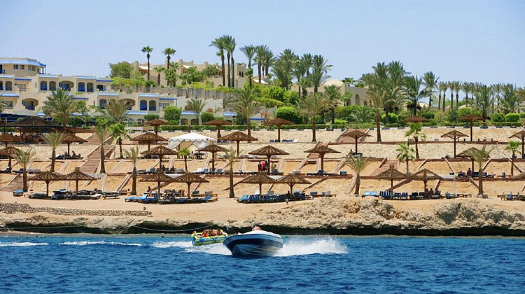 Картинка - 17