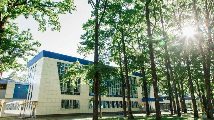 Картинка - 3