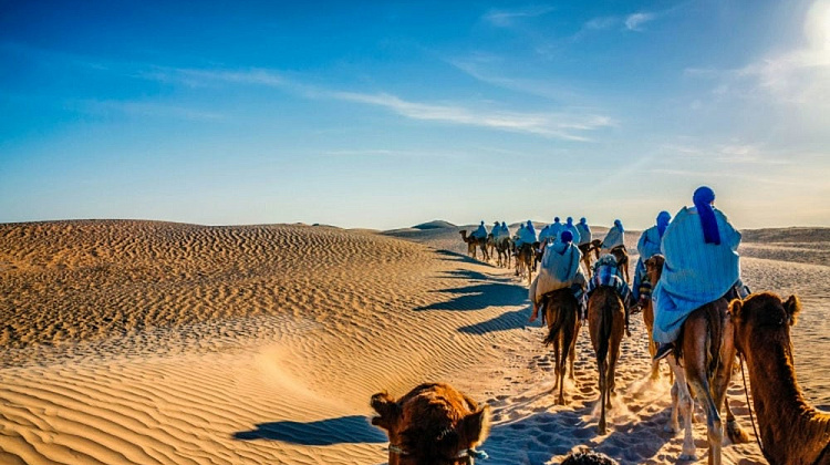 Картинка - 1