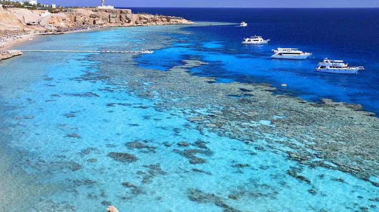 Картинка - 1