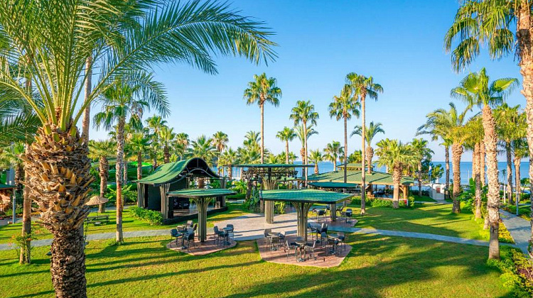 Картинка - 10