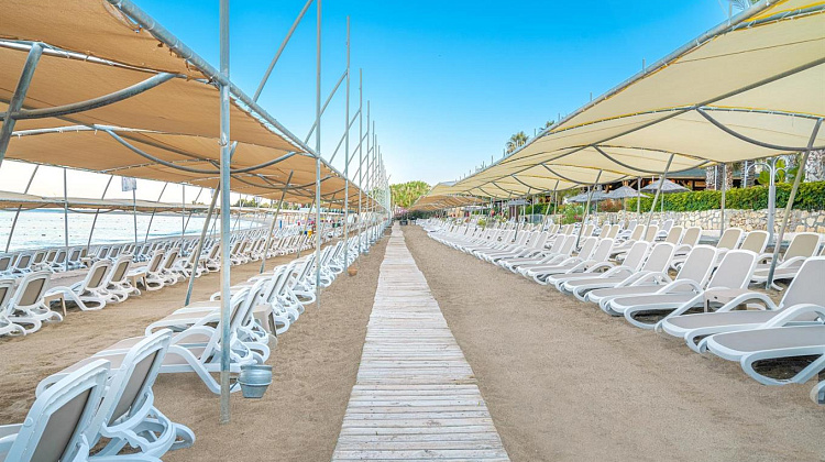 Картинка - 12