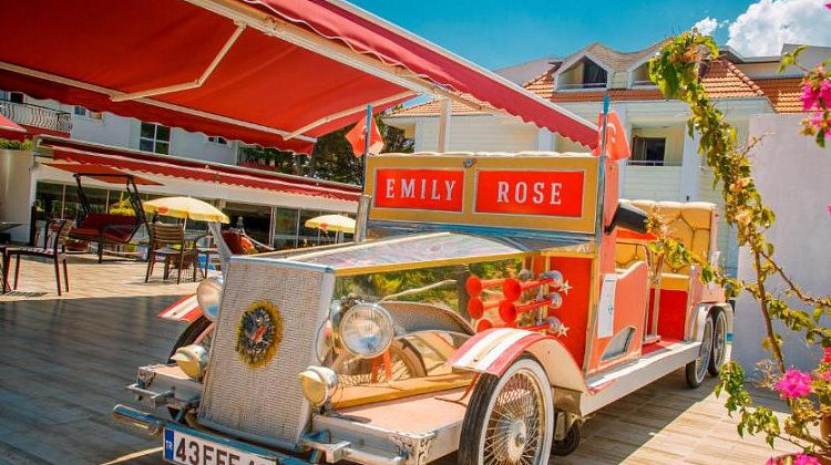 Картинка - 3