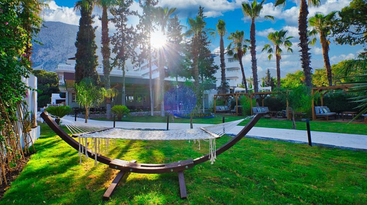 Картинка - 5