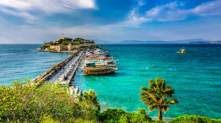 Картинка - 1