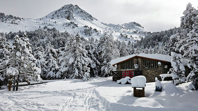 Картинка - 2