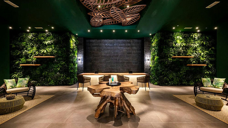 Картинка - 4