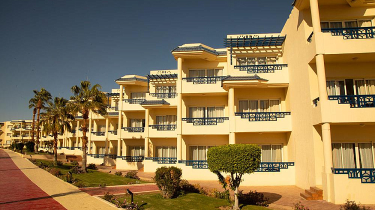 Картинка - 13