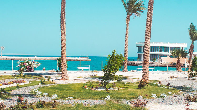 Картинка - 8