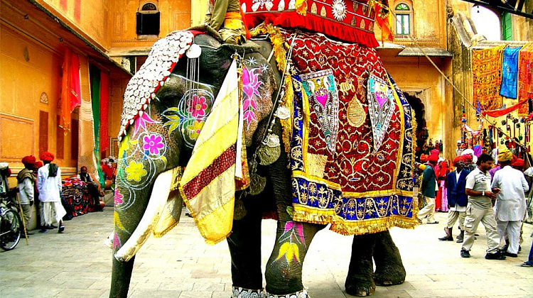 Картинка - 1