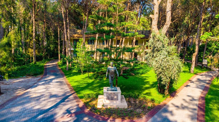 Картинка - 11