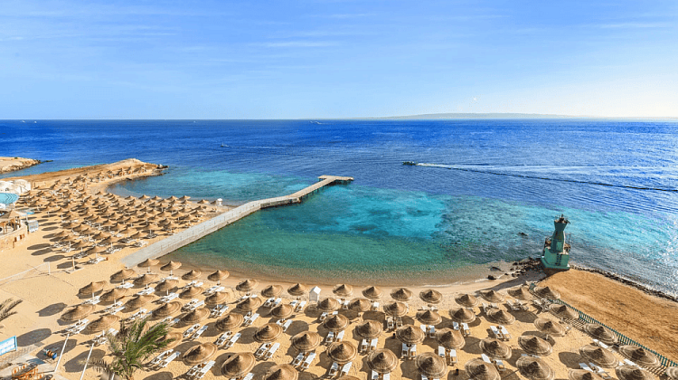 Картинка - 12