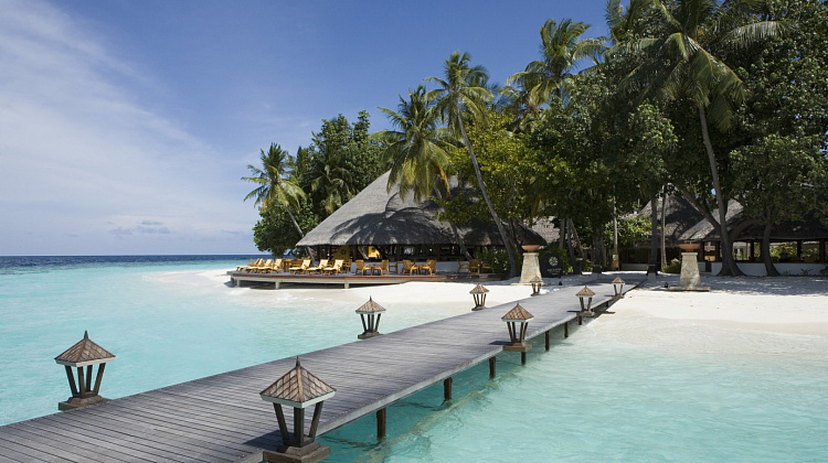 Картинка - 1