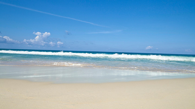 Картинка - 7