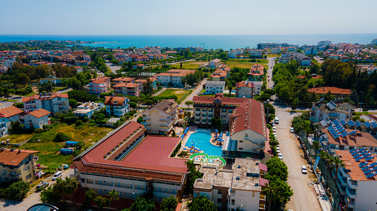 Картинка - 1