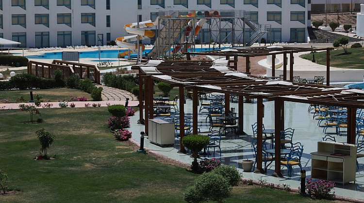 Картинка - 13