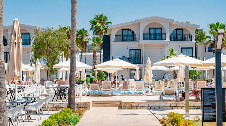 Картинка - 17