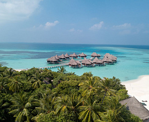 COCO PALM DHUNI KOLHU 4*