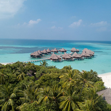 COCO PALM DHUNI KOLHU 4*