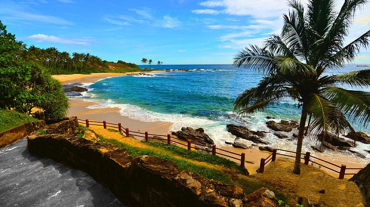 Картинка - 1