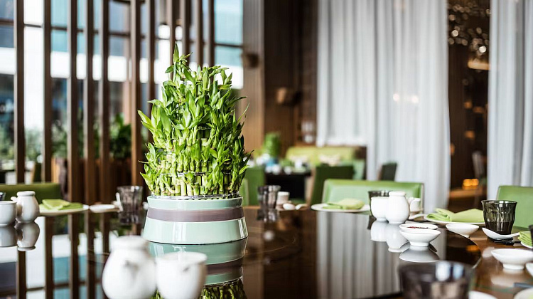 Картинка - 10