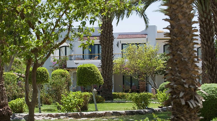 Картинка - 2