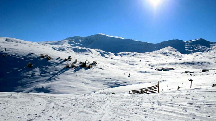 Картинка - 5