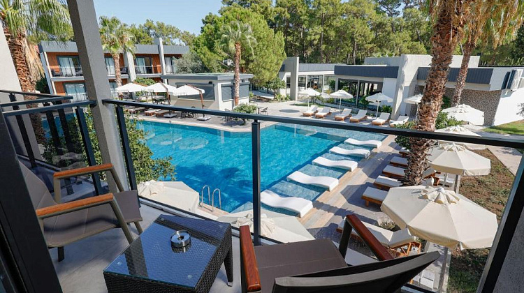 Картинка - 3