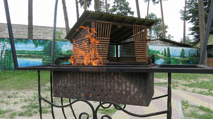 Картинка - 12