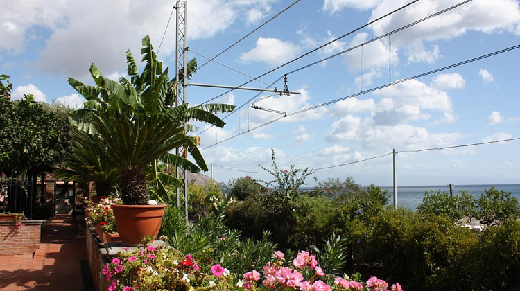 Картинка - 16