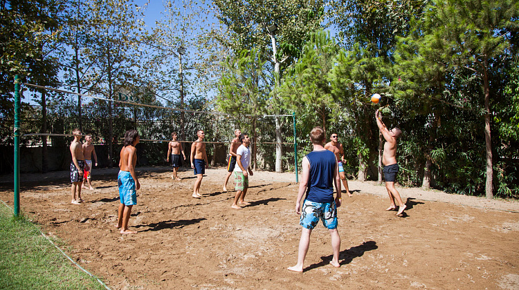 Картинка - 14