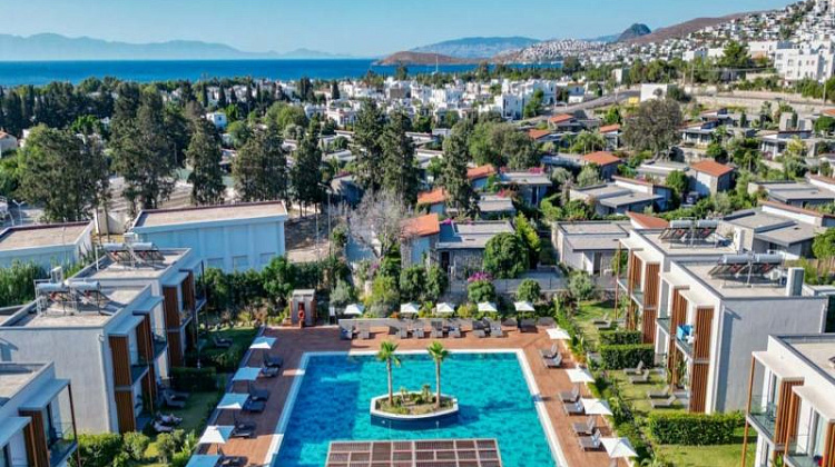 Картинка - 2