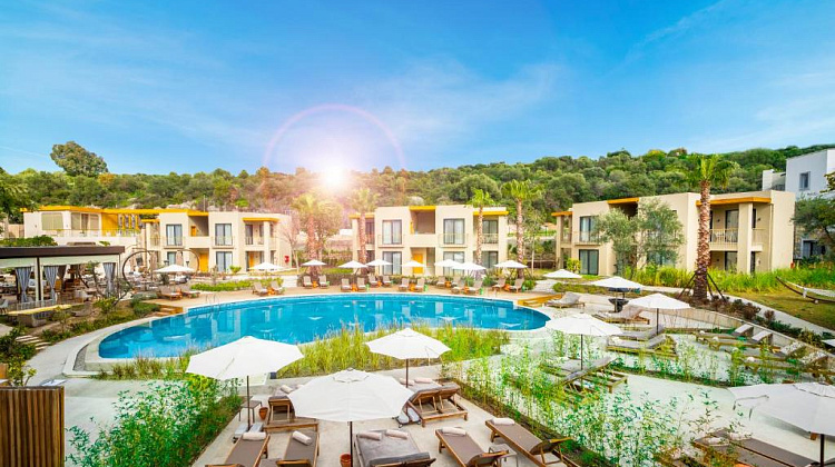 Картинка - 1