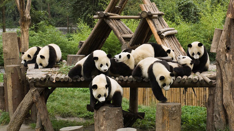 Картинка - 1