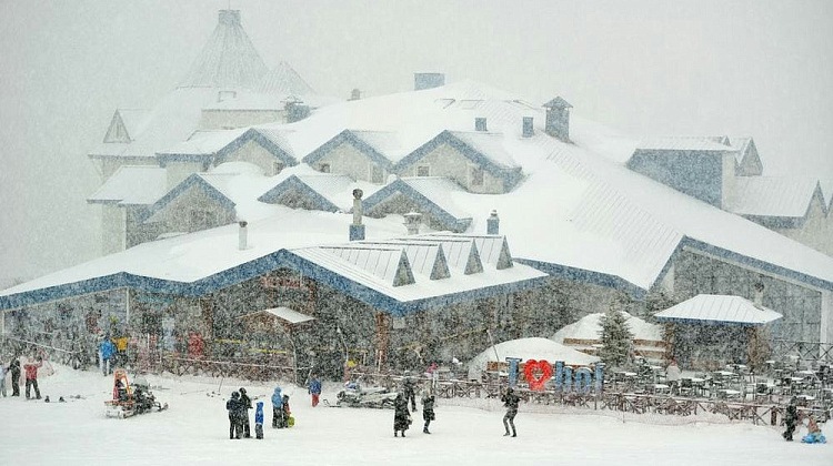 Картинка - 13