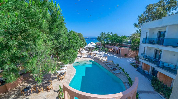 Картинка - 3