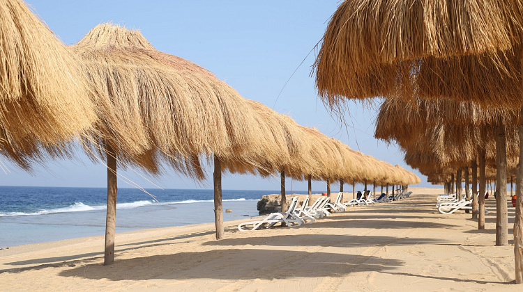 Картинка - 16