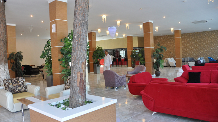 Картинка - 8