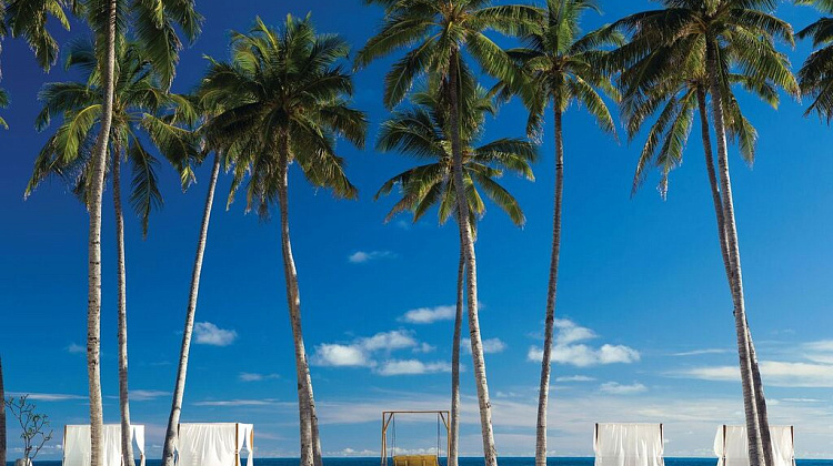 Картинка - 6