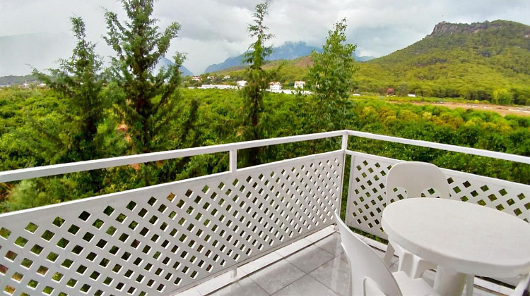 Картинка - 12