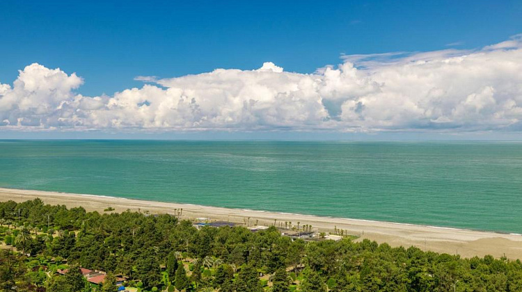 Картинка - 3